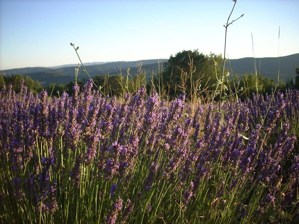 Dom wakacyjny Gite Provence Luberon -Paca- Acces Pmr-Ancv Revest-des-Brousses